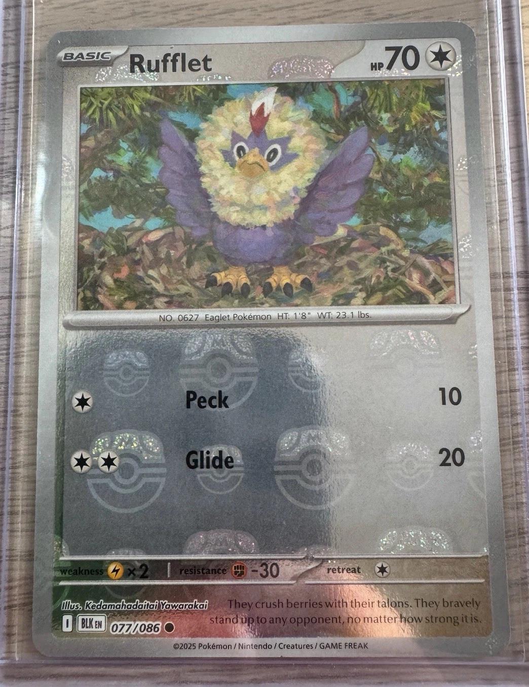 Rufflet [Master Ball]