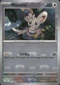 Minccino [Master Ball]
