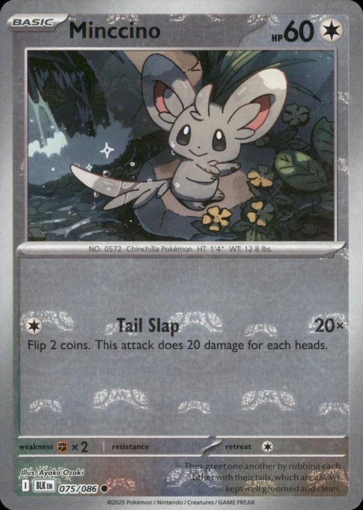 Minccino [Master Ball]
