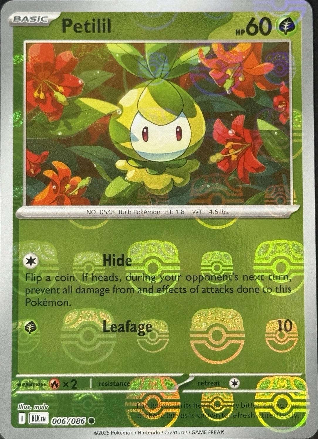 Petilil [Master Ball]