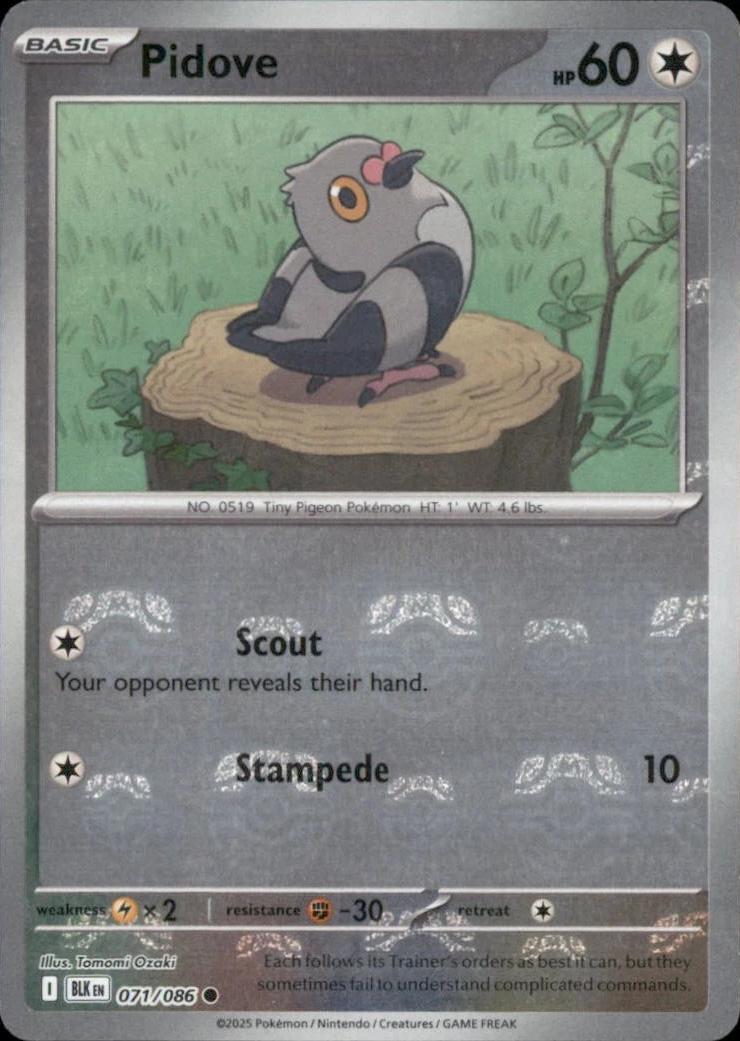 Pidove [Master Ball]