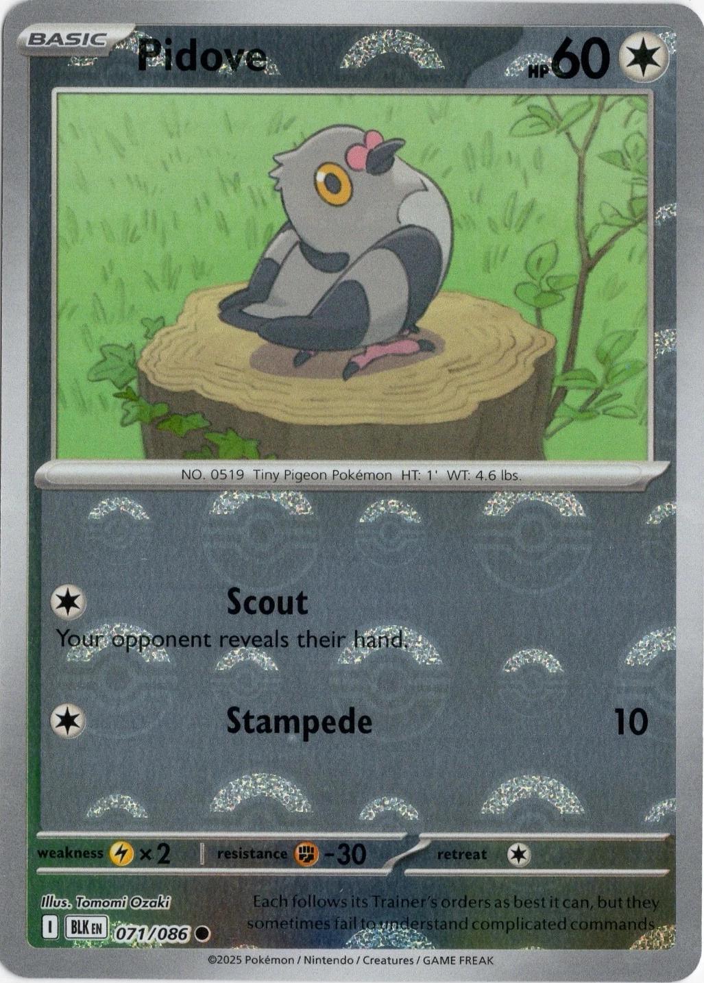 Pidove [Poke Ball]
