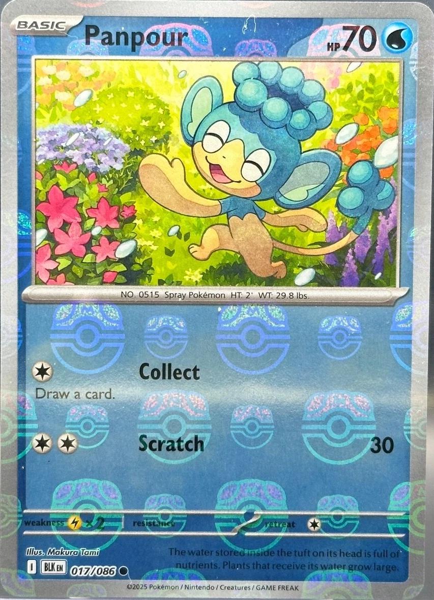 Panpour [Master Ball]
