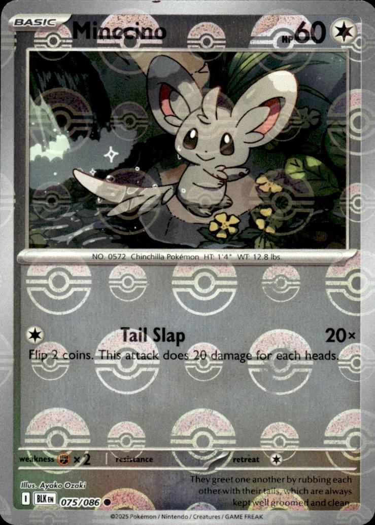Minccino [Poke Ball]