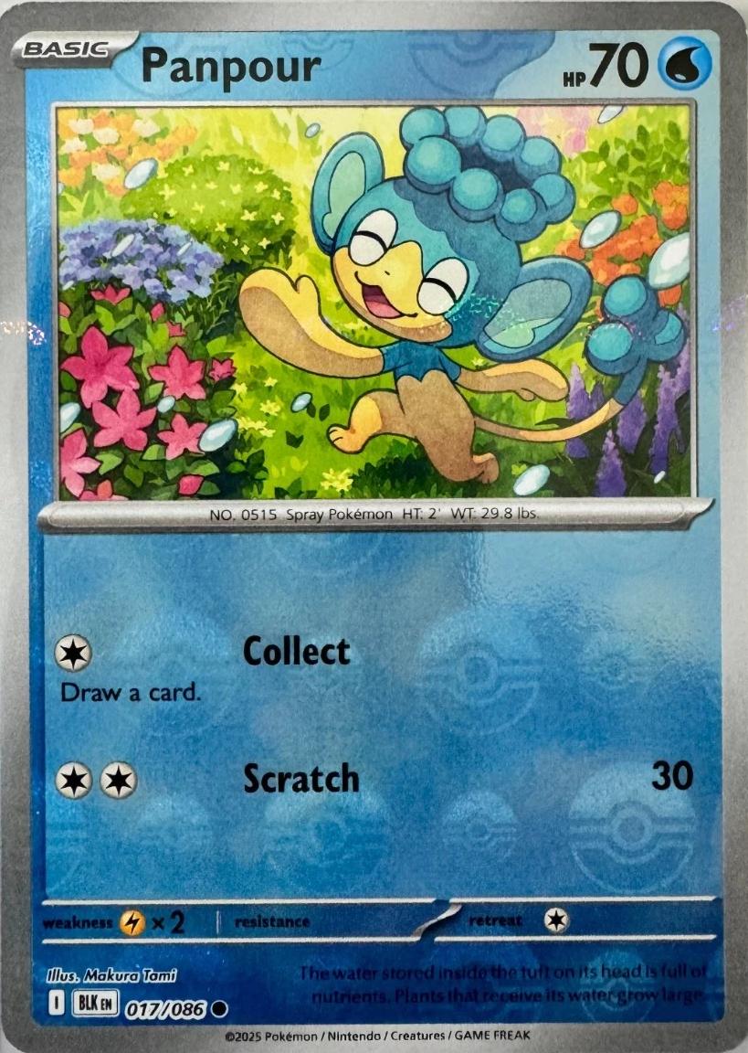 Panpour [Poke Ball]
