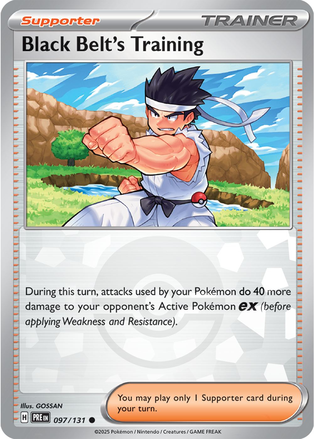 Black Belt's Training [Poke Ball]