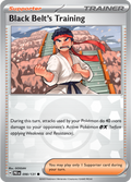 Black Belt's Training [Poke Ball]
