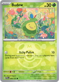 Budew [Master Ball]